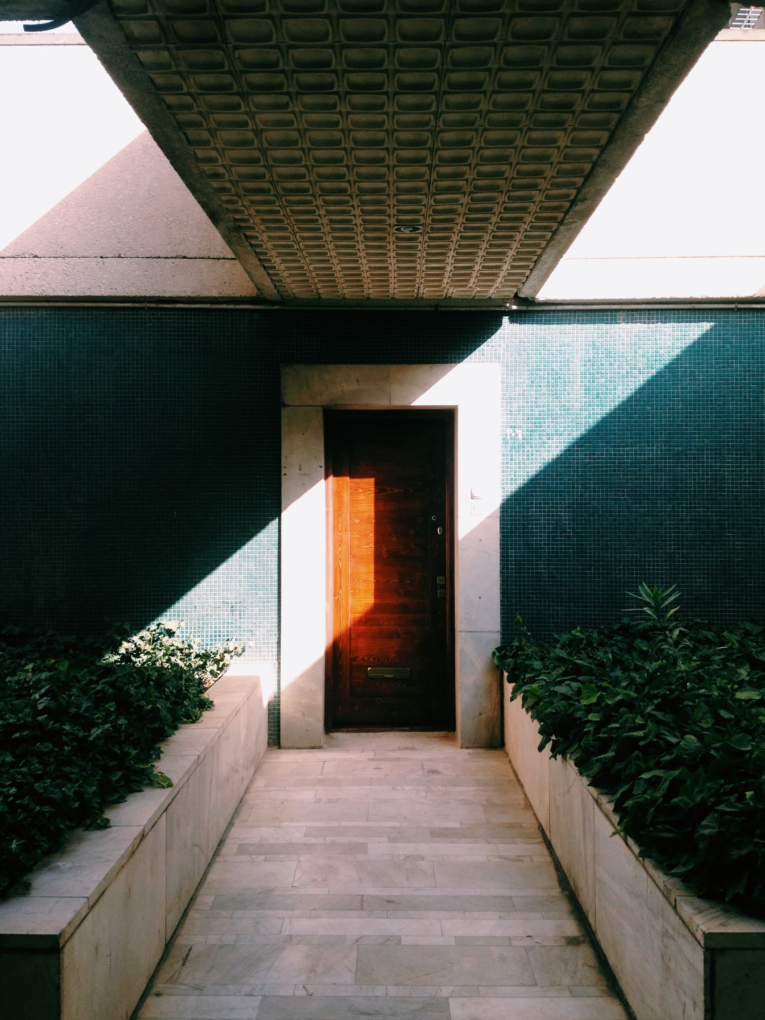 Modern wood entry door framed by deep green tile and landscaping