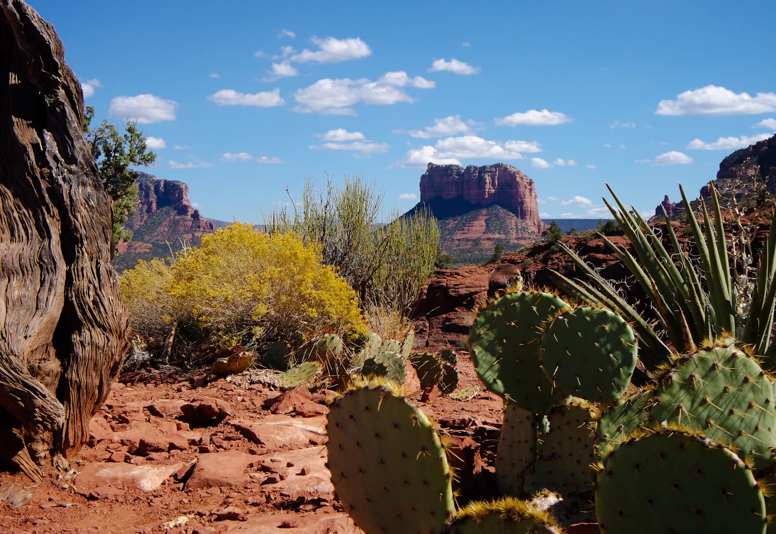 Scenic view of Phoenix, Arizona
