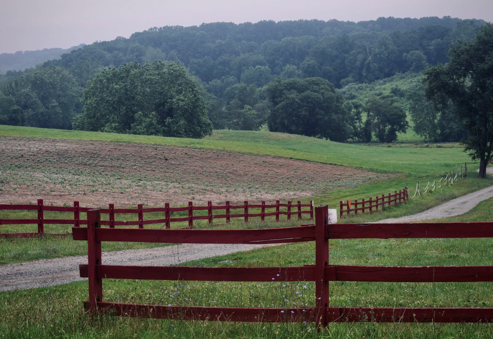 Scenic view of Wilmington, Delaware