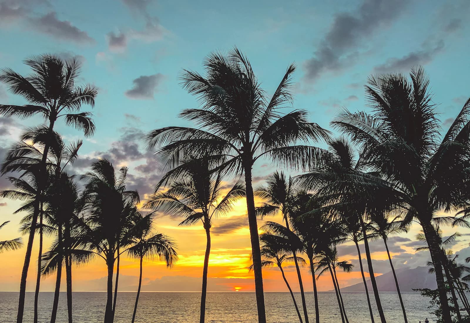 Scenic view of Hilo, Hawaii