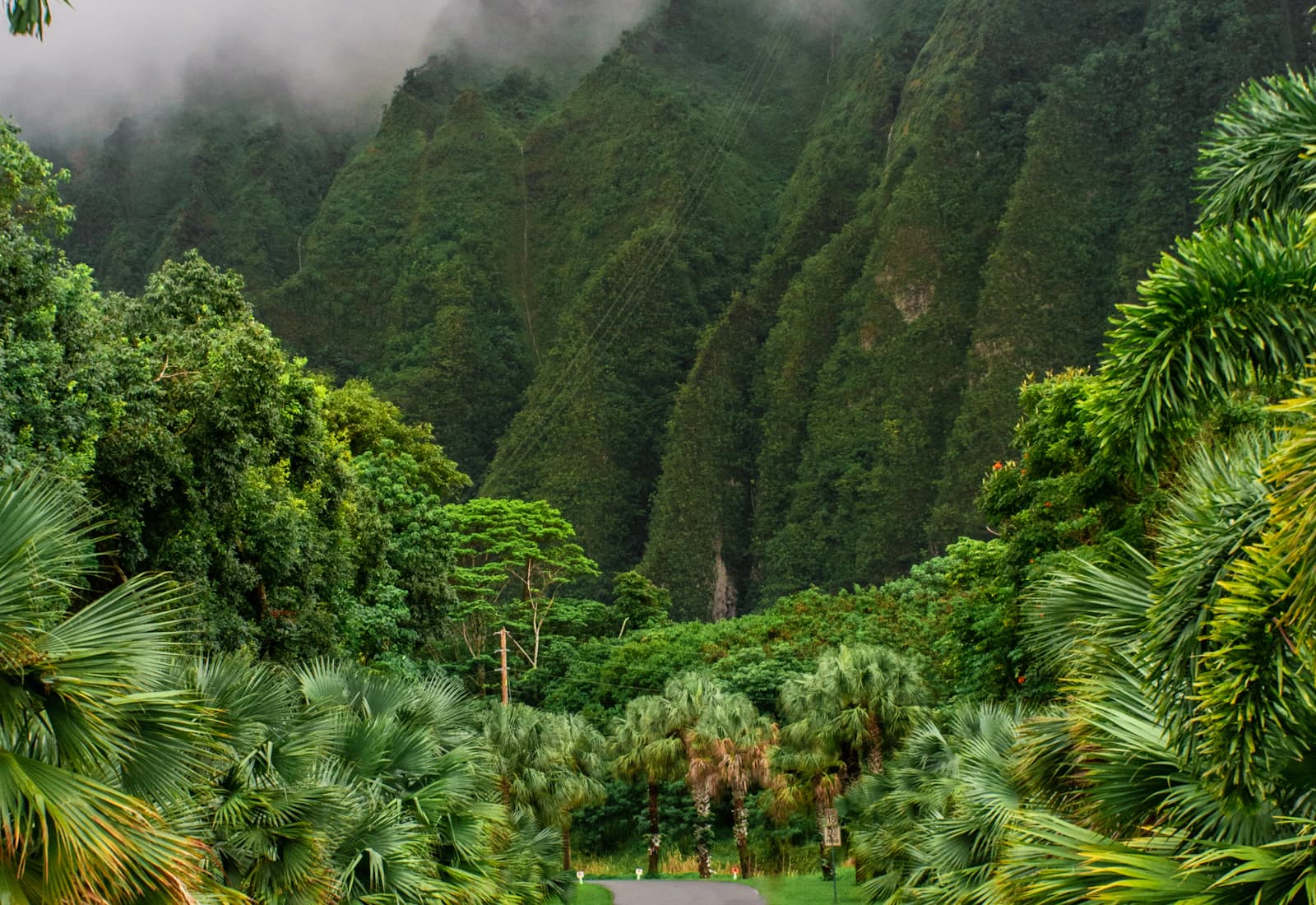 Scenic view of Kahului, Hawaii