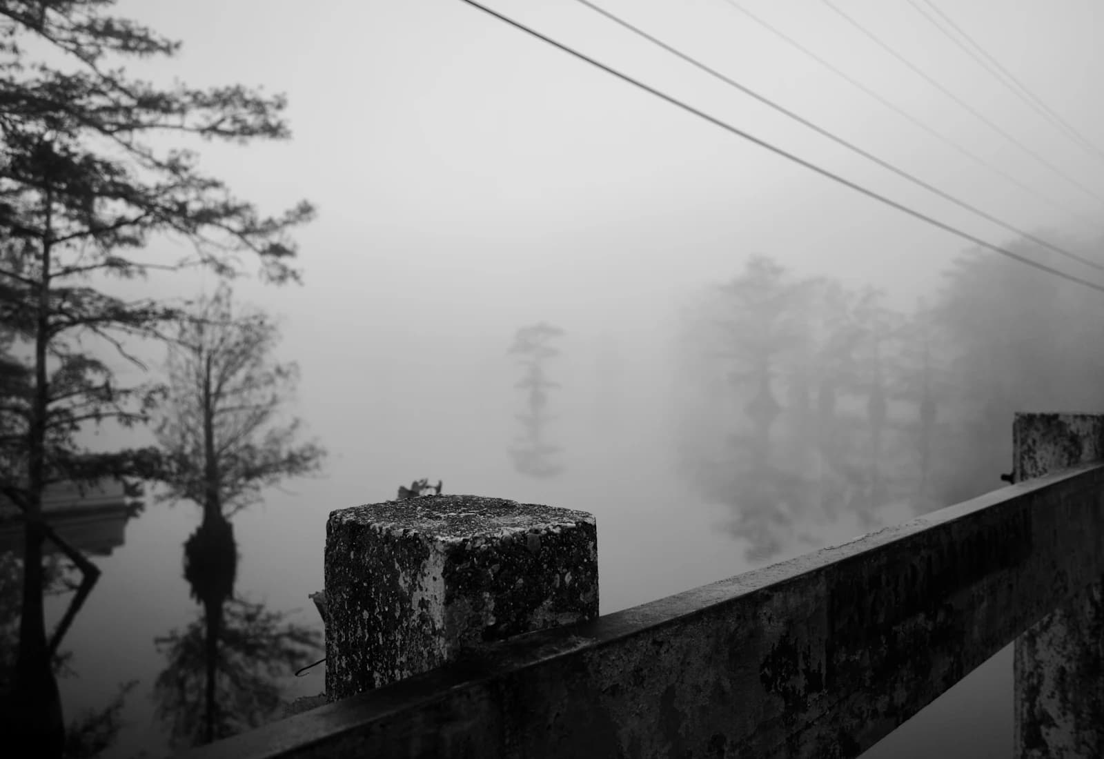 Scenic view of Lafayette, Louisiana