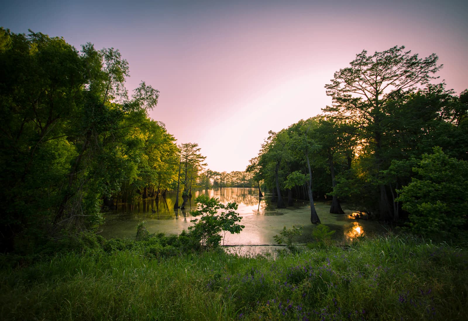 Scenic view of New Orleans, Louisiana