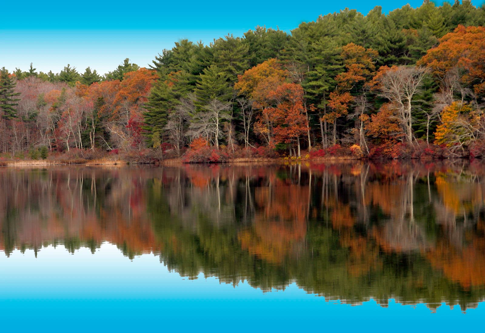 Scenic view of Cape Cod, Massachusetts