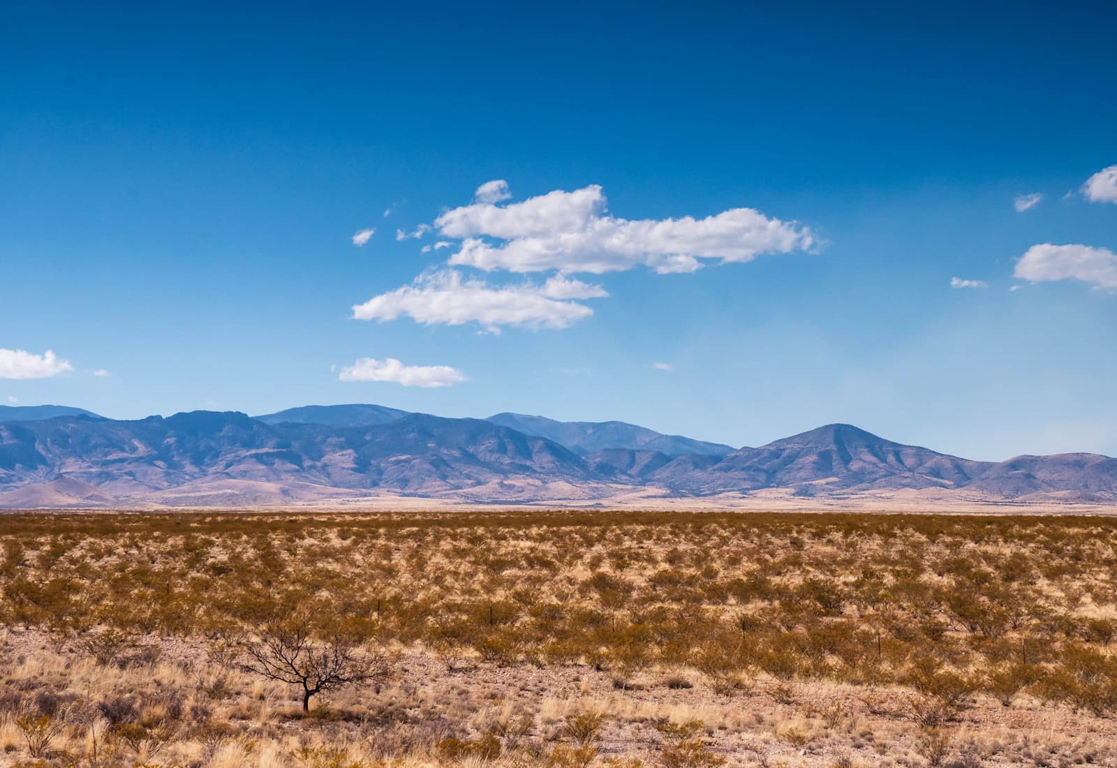 Scenic view of Las Cruces, New Mexico