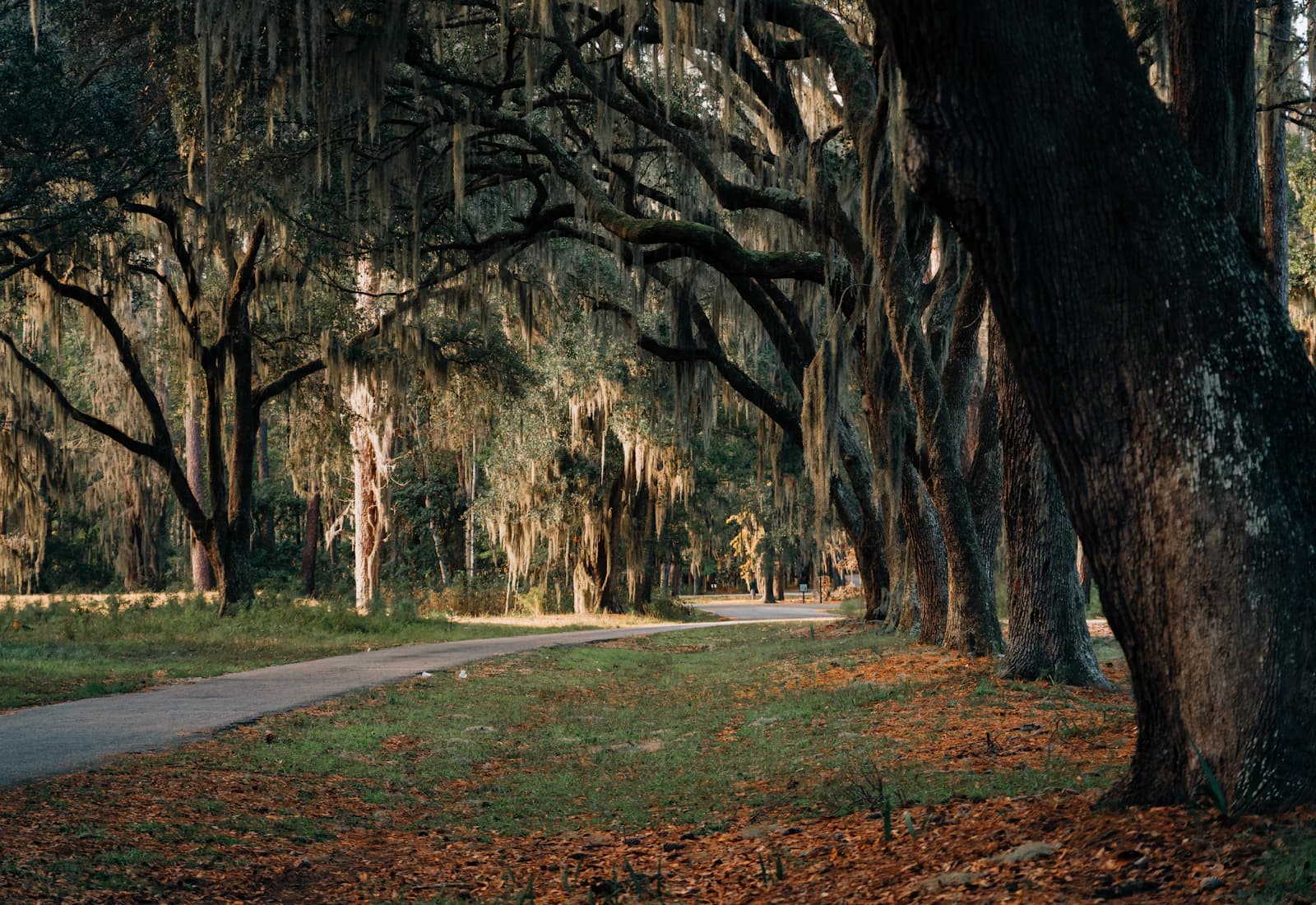 Scenic view of Charleston, South Carolina