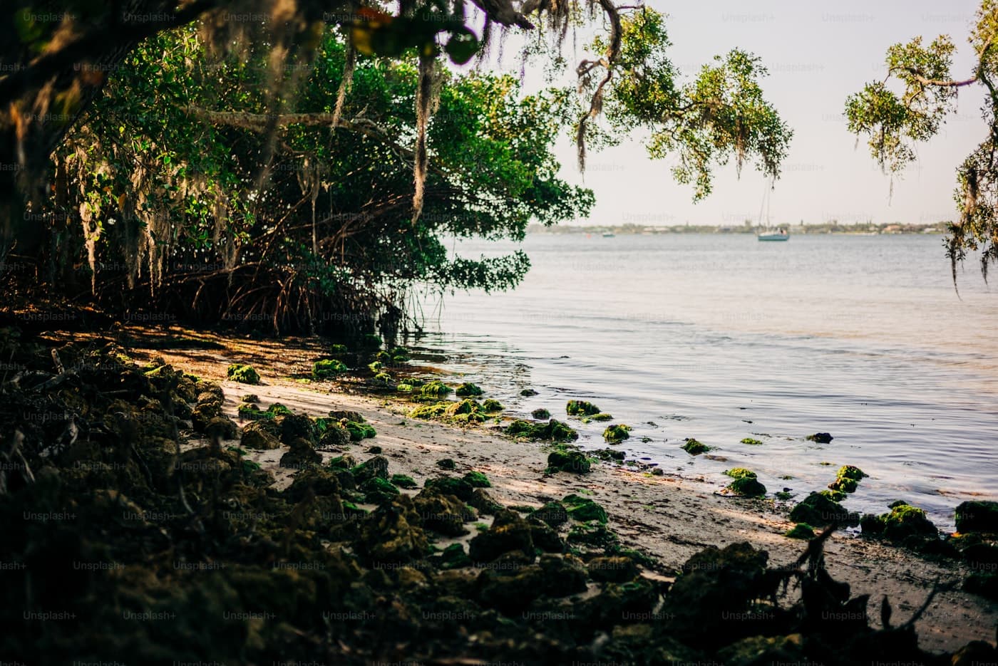 Scenic view of a tropical Florida waterway in Florida