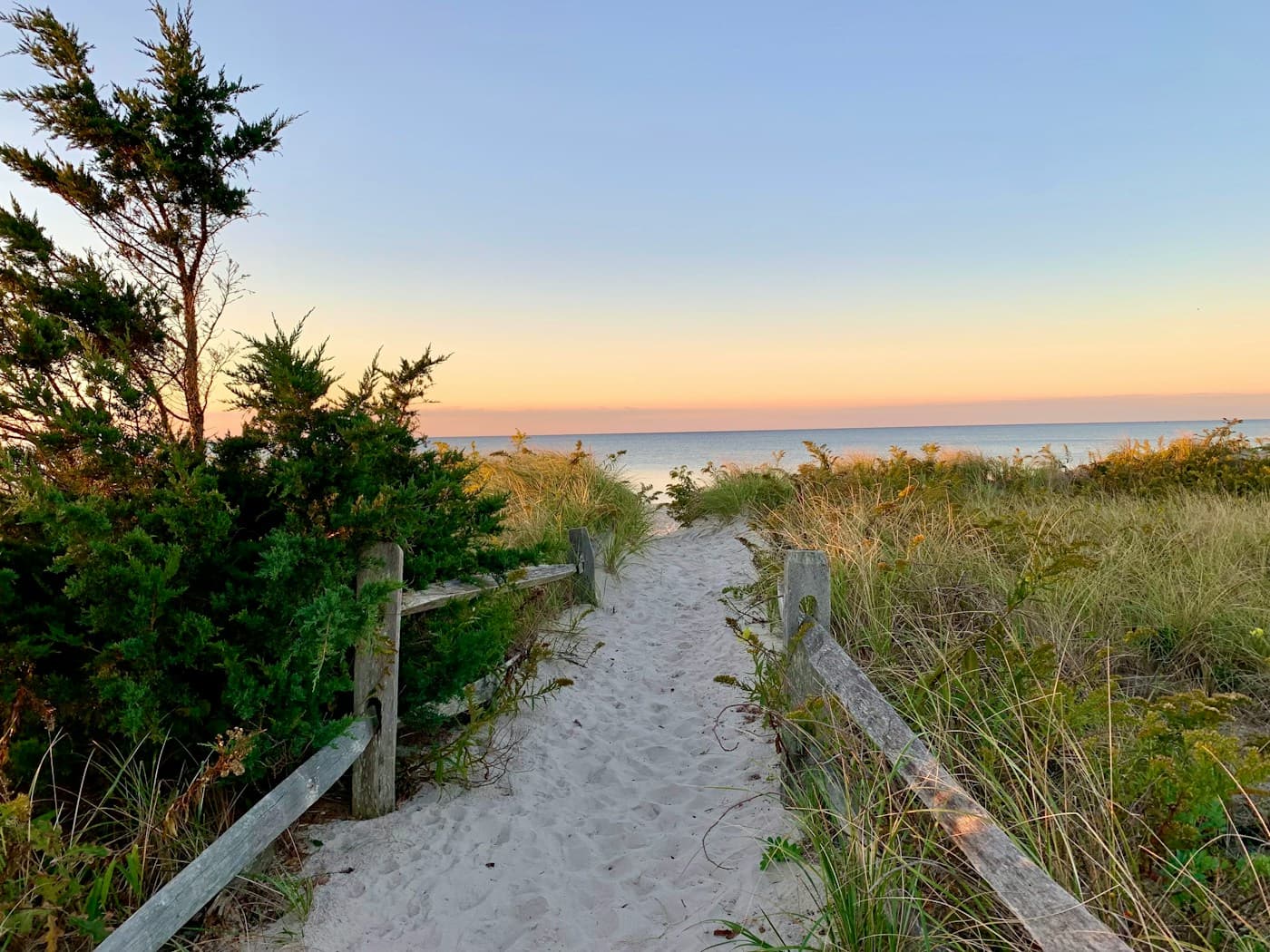 Scenic view of a Cape Cod beach path in Massachusetts
