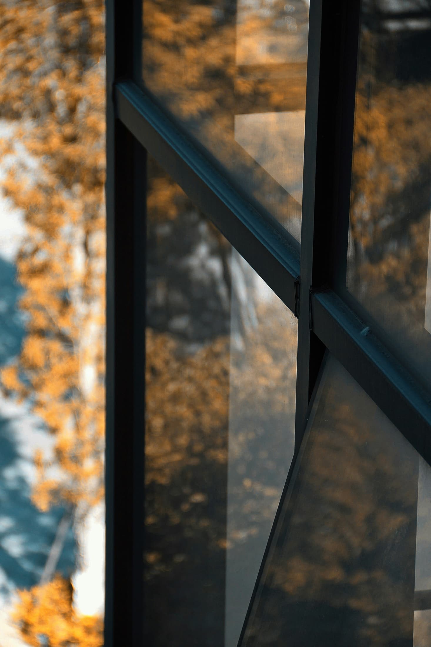 Dark aluminum window framing reflecting warm evening light